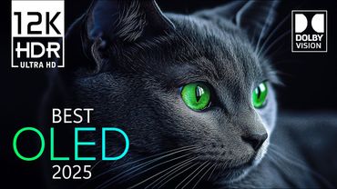 The Best Dolby Vision 12K HDR Video ULTRA HD 240 fps (8K / 4K TV)