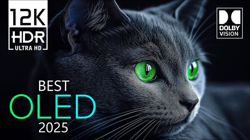 The Best Dolby Vision 12K HDR Video ULTRA HD 240 fps (8K / 4K TV)