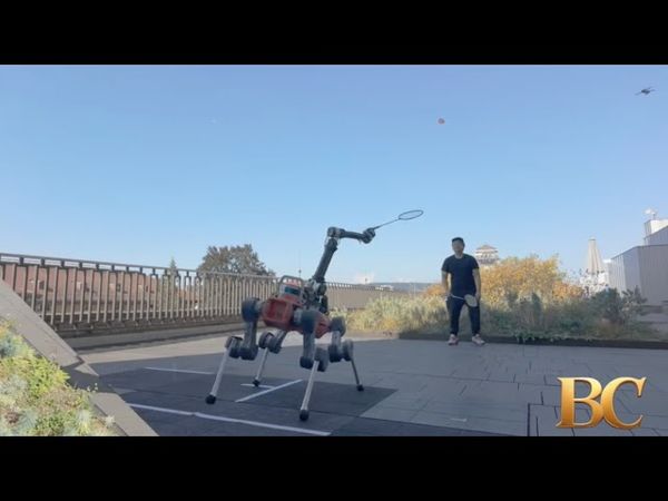 Four-legged robot plays badminton with humans