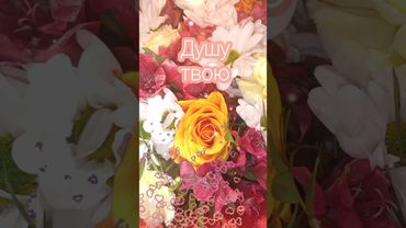 Доброе утро! Хорошего дня! #открытки #пожелания #поздравления  #shorts