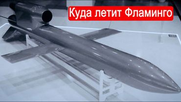 Куда летит Фламинго. / Техникум Марка Солонина