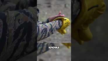 Самый Сильный Удар в Мире 🤜💥🤯 #факты