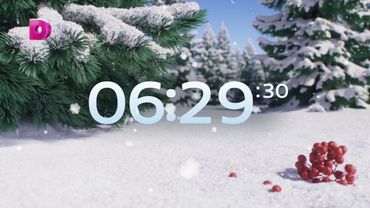 Новогодние часы (Домашний, 05.12.2023-н.в.)