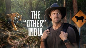 We Had 72 Hours to Find Wild Tigers