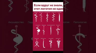 #шуточное #смешновидео #юмор