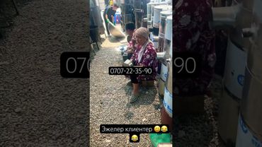 7-область. Доставка бар