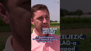 Vrućine ugrožavaju poljoprivredu