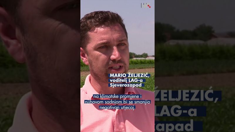 Vrućine ugrožavaju poljoprivredu