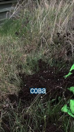 TikTok video #7475729967825833238