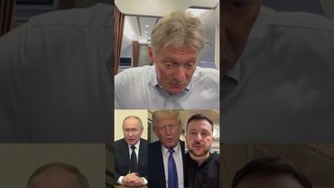 Трамп разговаривал с Зеленским перед звонком Путину