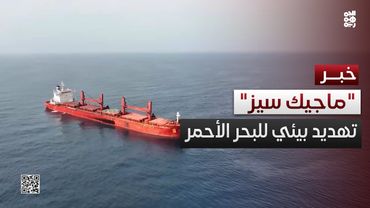 مسؤول: تسرب حمولة "ماجيك سيز" يهدد بيئة البحر الأحمر