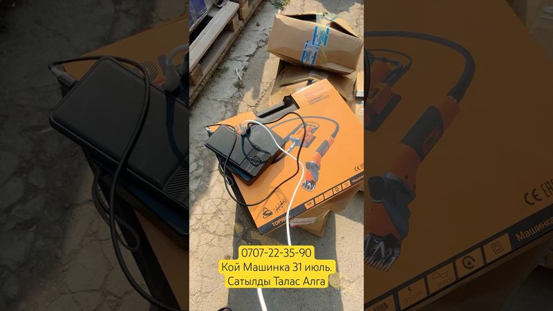 Таласка сатылды