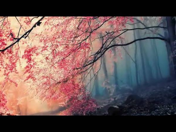 Дождь      Музыка А.Петрова  к фильму " Служебный роман"