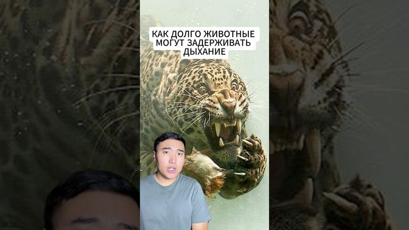 Berapa Lama Hewan Dapat Menahan Napas?