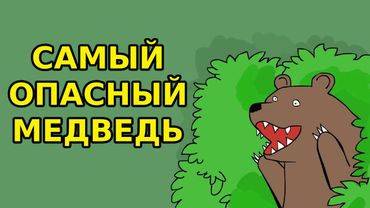 Рейтинг опасности медведей