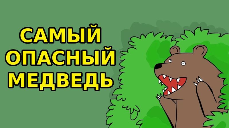 Рейтинг опасности медведей