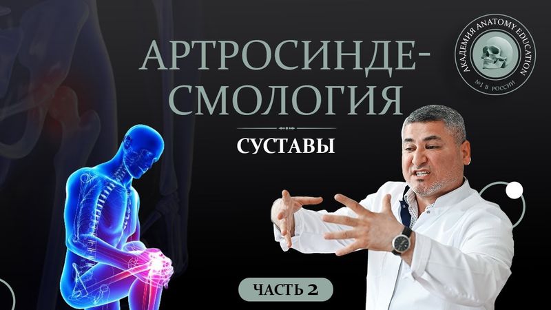 Артросиндесмология. Суставы часть 2 / ARTHROSYNDESMOLOGIA