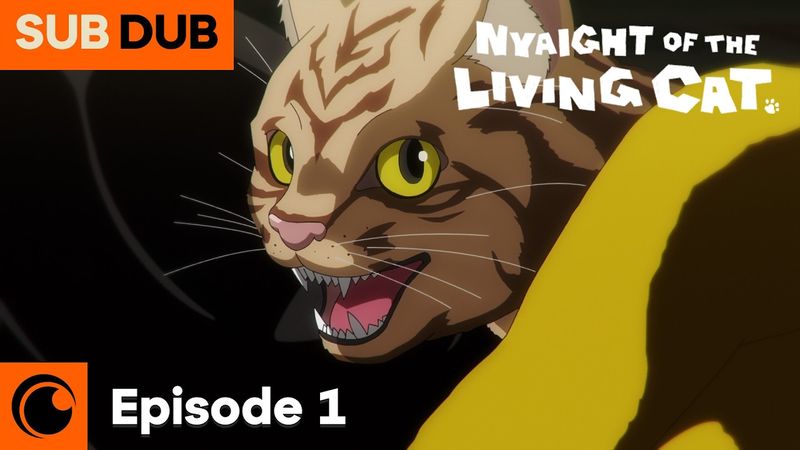 Nyaight of the Living Cat Episode 1 SUB/DUB | Everything Becomes Cat