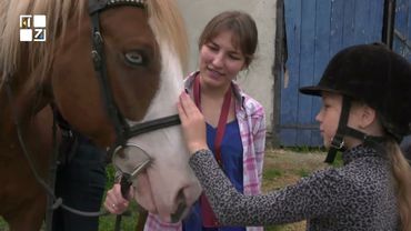 Іпотерапія для відновлення: нова можливість для ветеранів та їхніх родин у Львові