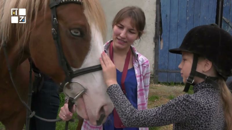 Іпотерапія для відновлення: нова можливість для ветеранів та їхніх родин у Львові