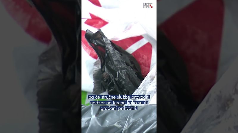 Vlasnici pasa u Rijeci zbunjeni: spremnika za pseći izmet i dalje nema