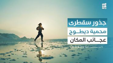 ديطوح في سقطرى.. قصة الاسم وعجائب المكان | ﺟﺬور ﻣﻦ ﺳﻘﻄﺮى