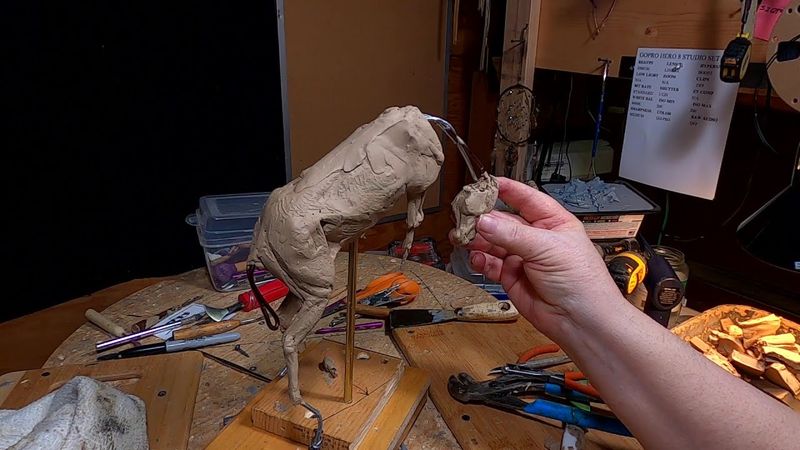 A BURR ON THE SADDLE BLANKET   Starting a New Clay of a Bucking Horse
