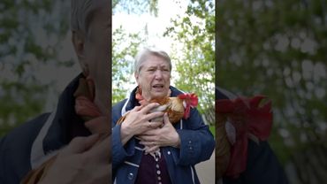 УКРАЛА ПЕТУХА #shorts