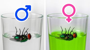 Факты, которые заставят вас сказать «Хм» и потом гуглить целый час