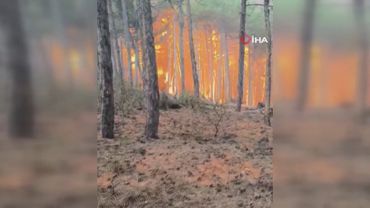 Лесные пожары в Турции: погибли 10 пожарных