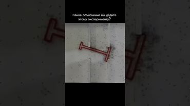 Интелект, разум, муравей.