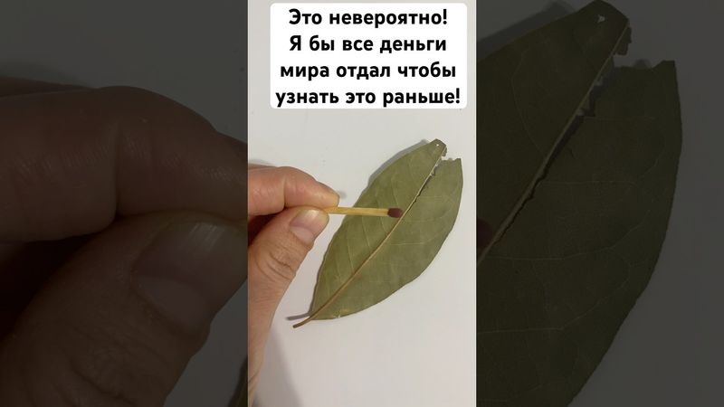 Это невероятно! Я бы все деньги мира отдал чтобы узнать это раньше!