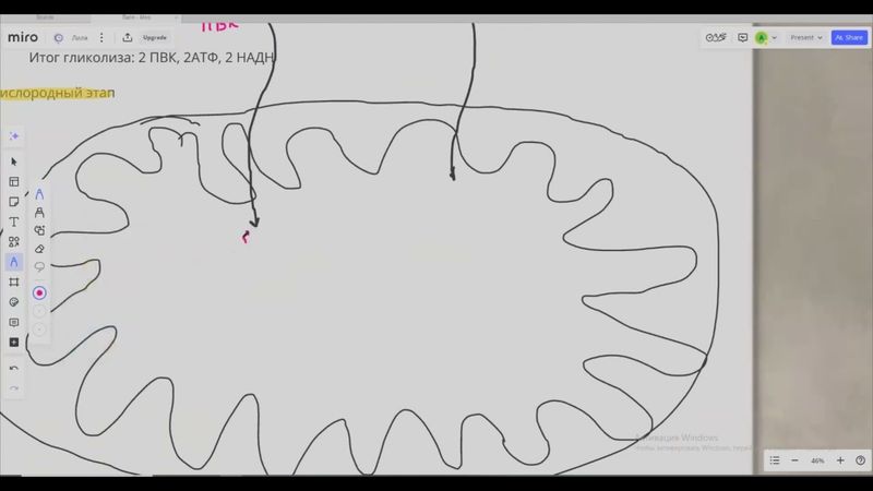 схема энерг обмена