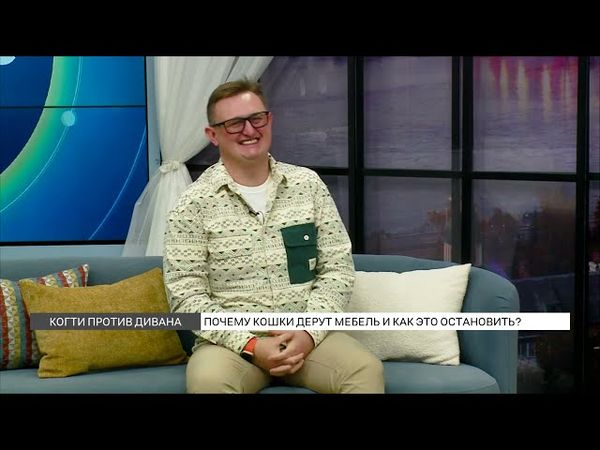 Почему кошки дерут мебель и как это остановить?