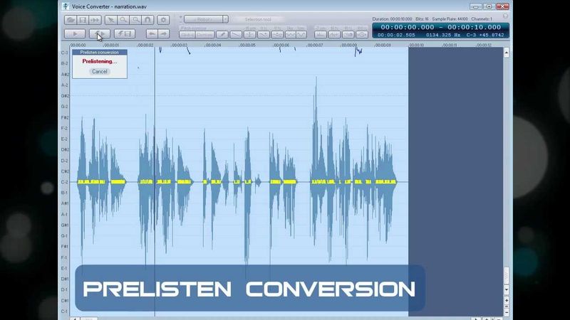 Voice Converter File & Edit Tools