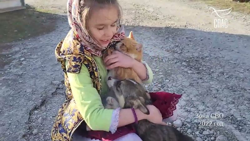 МОЛИТВА ЗА ХРИСТИАН НА ЗЕМЛЕ АПОСТОЛА ПАВЛА! #ЗаписьЭФИРА