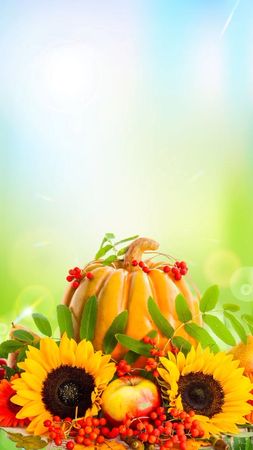 #здравствуйавгуст #добраипозитива #хорошегоавгуста Завтра уже август!...