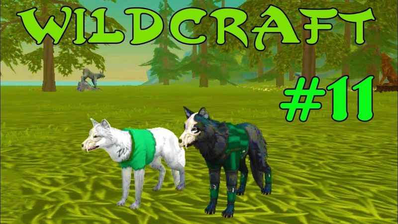 WildCraft Симулятор жизни зверей Онлайн #11 Создаем волчью семью