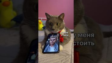 УМНЫЙ ЧЕЛОВЕЧЕК