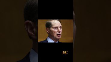 Bessent rips Pelosi, calls for single-stock trading ban in Congress