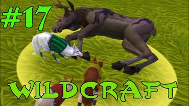 WildCraft Симулятор жизни зверей Онлайн #17 Белла снова беременна!