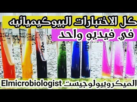 Identification of bacteria Microbiology practical - Biochemical tests  شرح بالعربي