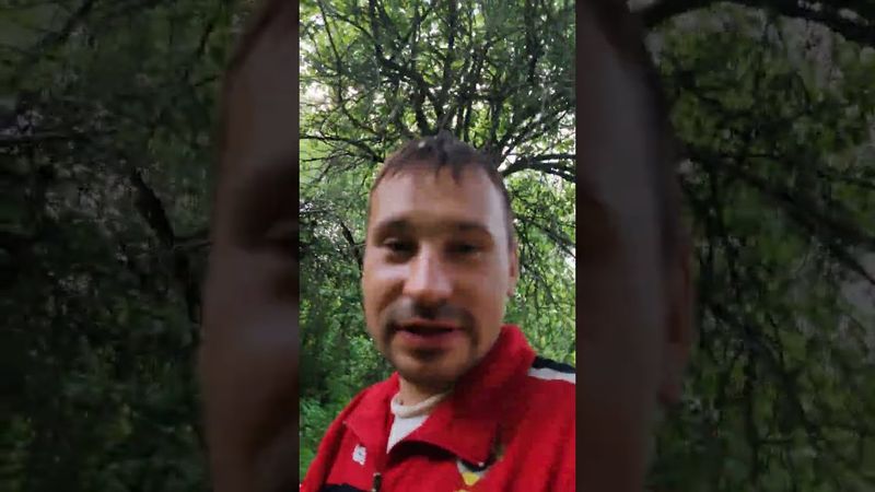 Сезон 2025 часть 2