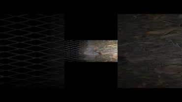 Капіталізм є прокляттям людського знання