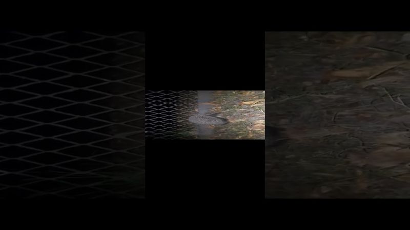 Капіталізм є прокляттям людського знання