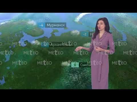 Погода в России на 10.11.2023 пт.