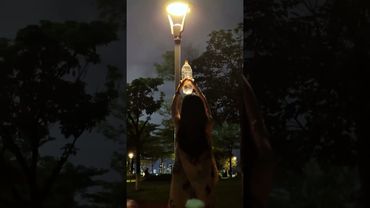 I love #музыка #deephouse #davvi #music #love #shorts ❤️😍🎶