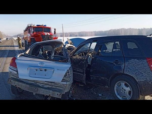 Выпуск 237  Торопыги за рулем