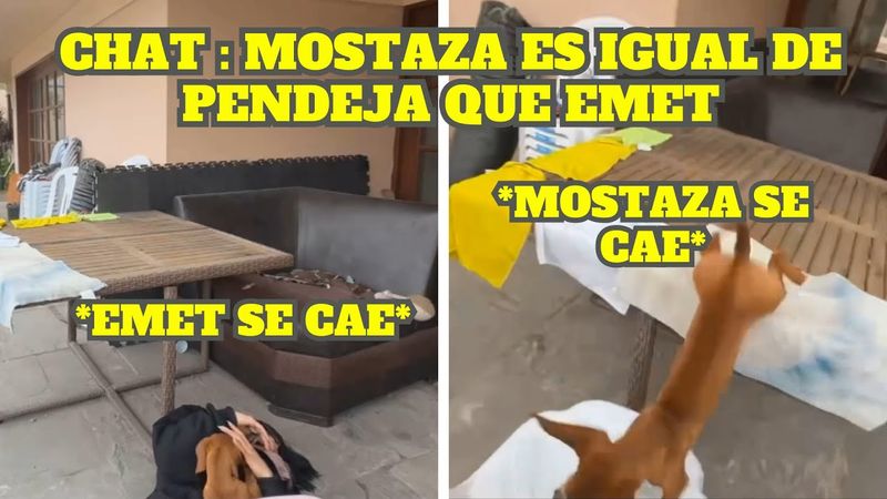 EMET Y MOSTAZA SE SACAN LA MRD