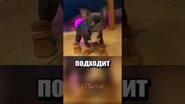 Индивидуальный подбор обуви